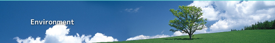 environment