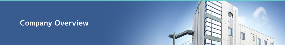 Company overview