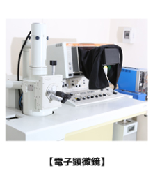 電子顕微鏡